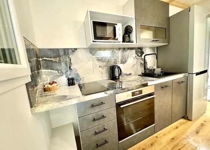 Disgne Climatise Parking Et Wifi Gratuit Apartment Toulouse